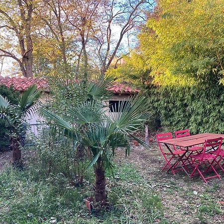 Un Jardin En Ville Toulouse Exterior foto